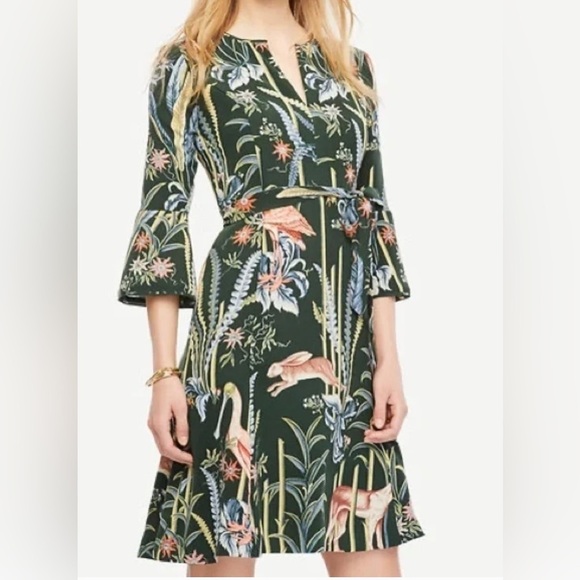 Ann Taylor Dresses & Skirts - Ann Taylor Reed Garden dress